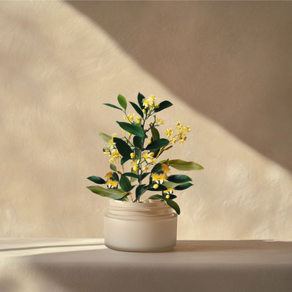 Whipped Tallow Cream with Lemon Myrtle