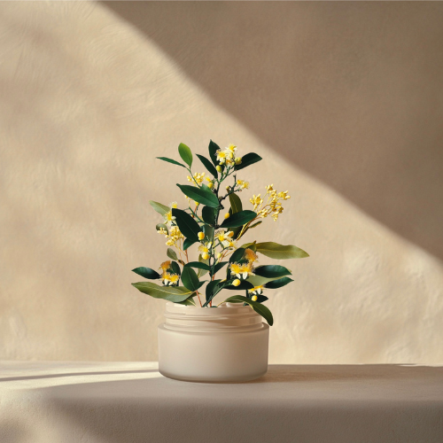 Whipped Tallow Cream with Lemon Myrtle